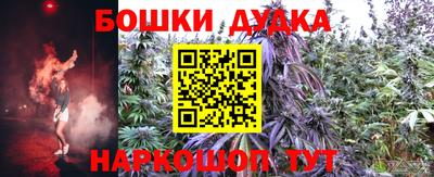 сатива Будённовск