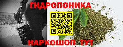 сатива Будённовск
