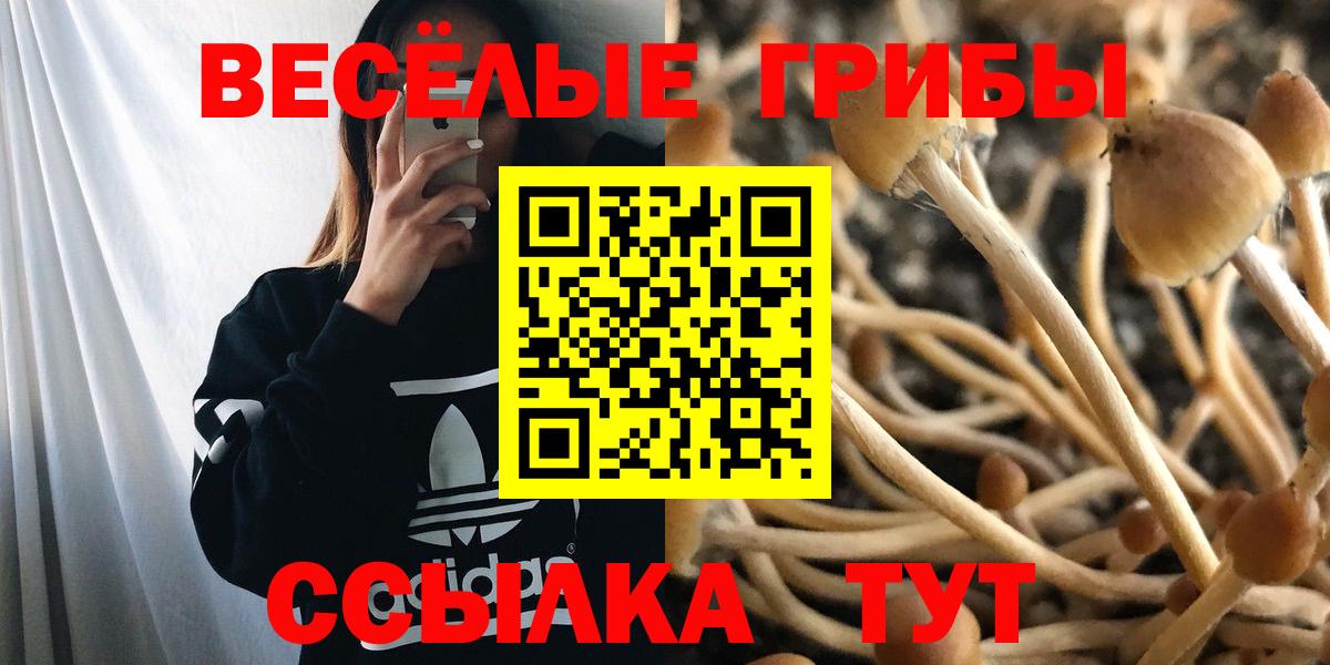 Галлюциногенные грибы прущие грибы  Вход с VPN  Сибай 